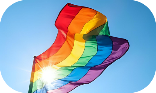 Ico lgbtqiapn+